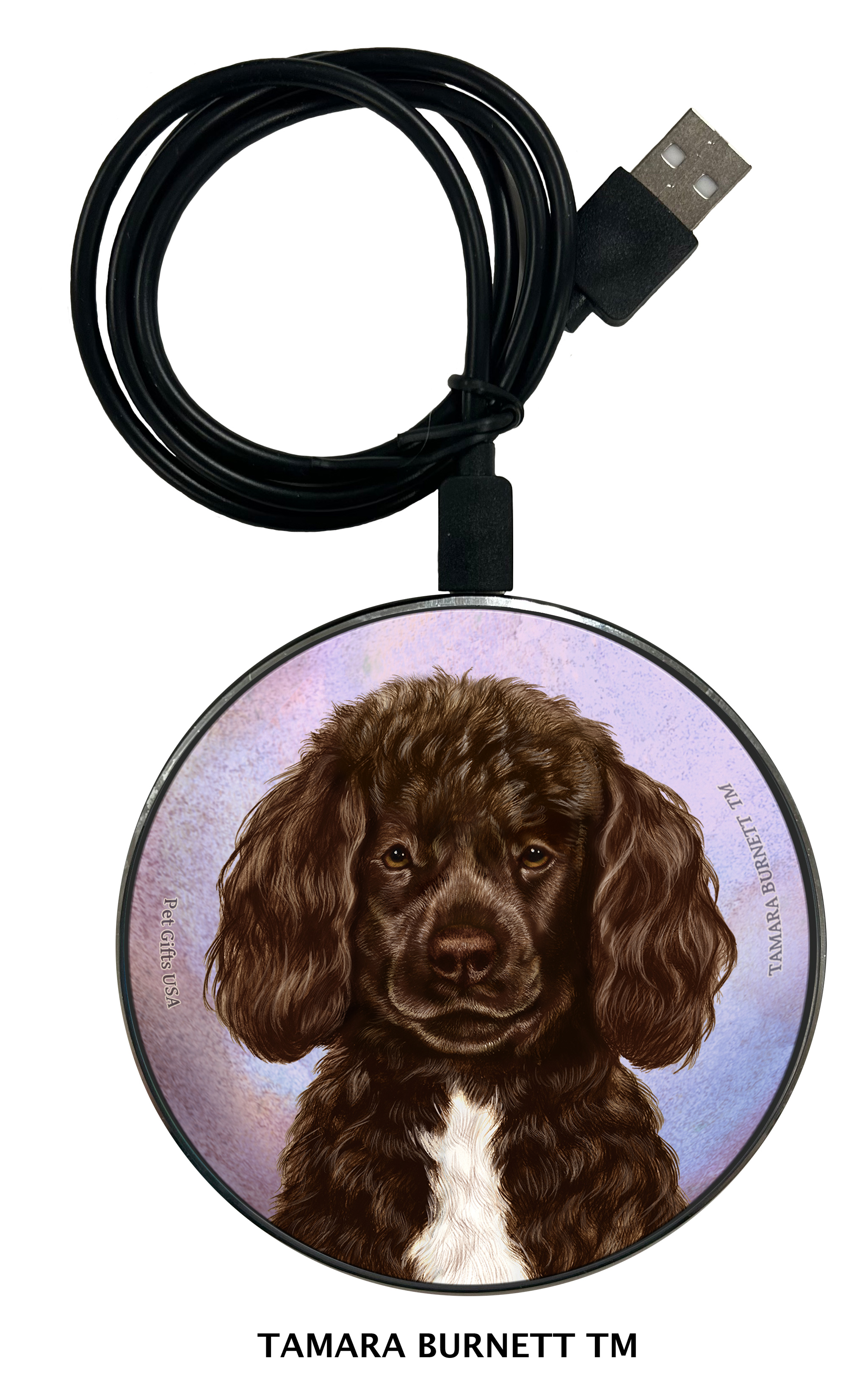 Portuguese Water Dog Brown and White Beardless - Zoomies Phone Charger image